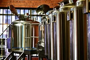 Dusty Lizard Brewing