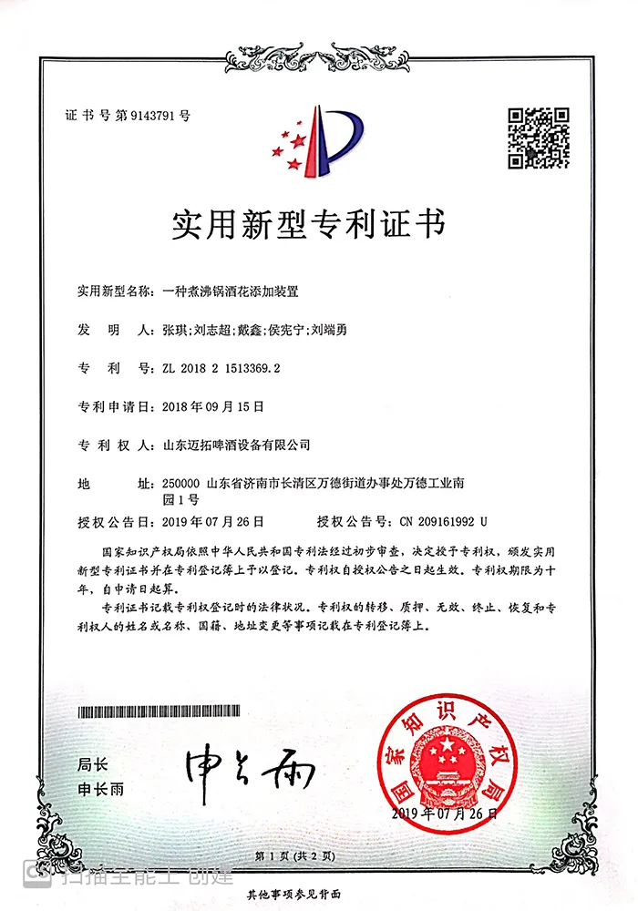 实用新型专利 (4)